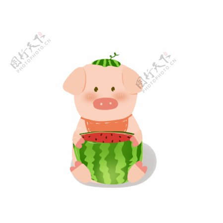 可爱小猪猪吃西瓜