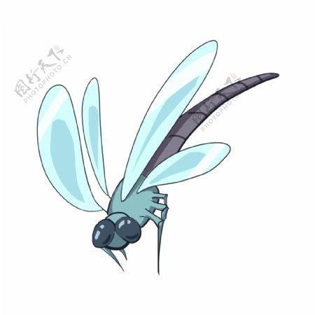蓝色飞行蜻蜓