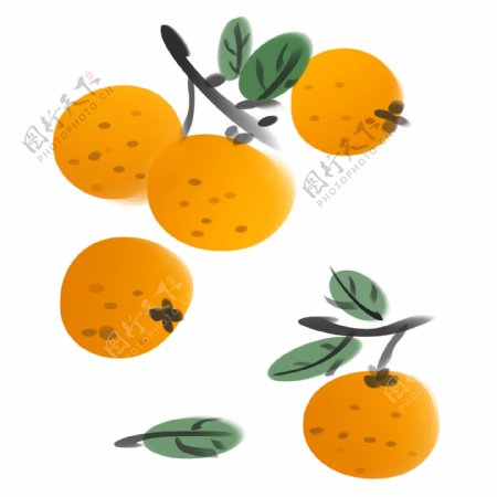 水墨画橘子
