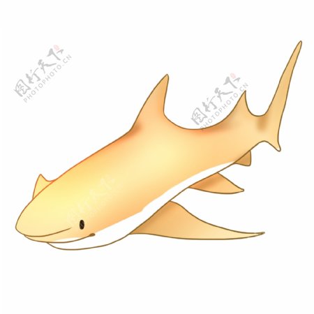 黄色鲨鱼