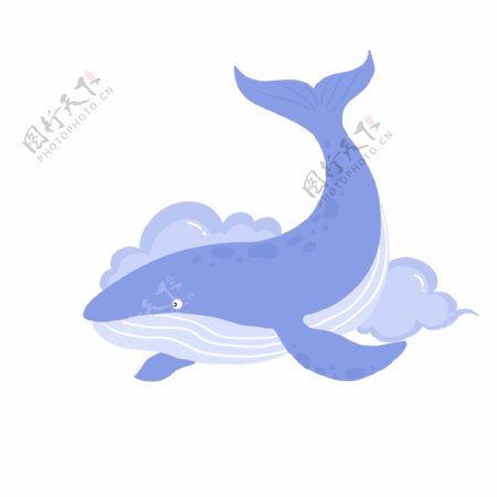 海底生物蓝色鲸