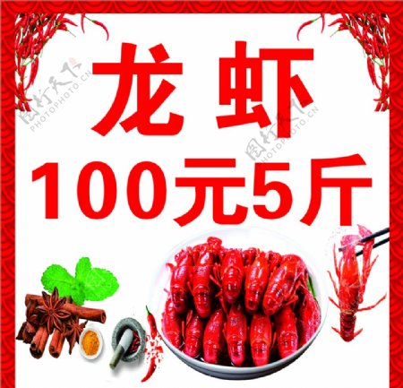 龙虾100元5斤