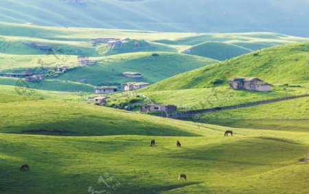新疆天山牧场