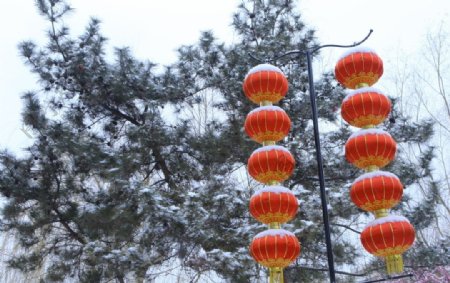 瑞雪大观园