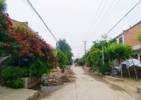 乡村街道风景