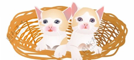 竹篮中两只小奶猫