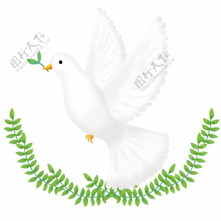 手绘国际和平日手绘和平鸽子白鸽