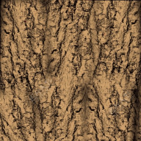 树皮背景纹理图片