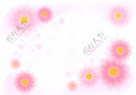 花卉抽象花卉装饰花卉背景