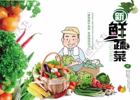 蔬菜海报易拉宝名片宣传