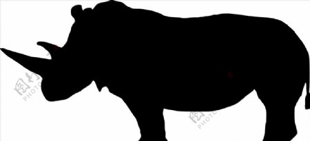 野生动物系列犀牛矢量图