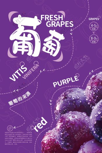 葡萄水果海报宣传单