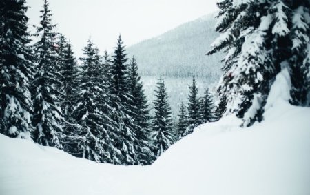 冬季雪山风景