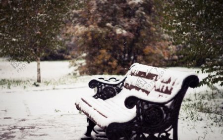 冬天公园长椅大雪风景