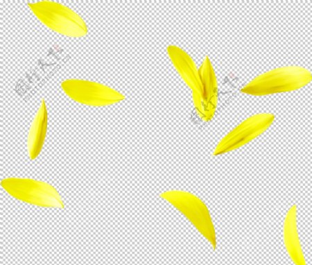 黄色花叶