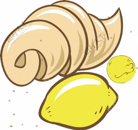 海螺柠檬插画