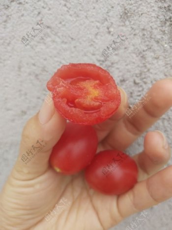 咬一口的西红柿