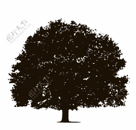黑色植物树木剪影