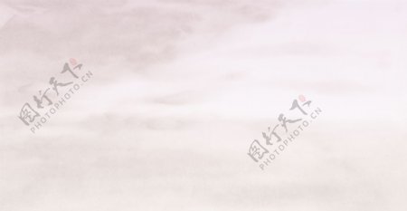 中国风古典花纹底纹菊花牡丹