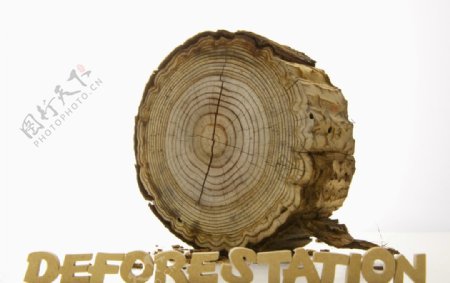 木纹森林砍伐