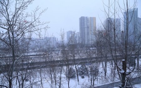 雪景