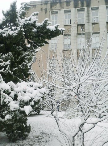 浪漫校园雪景