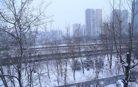 都市雪景