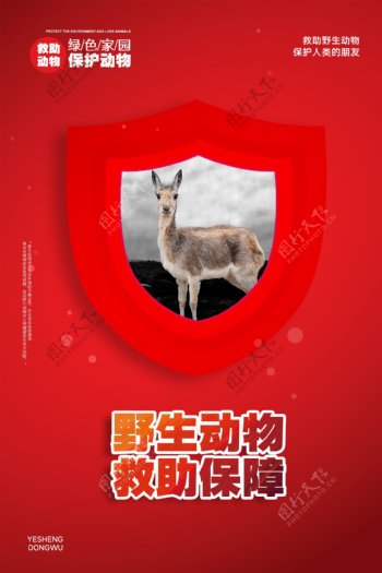 野生动物海报
