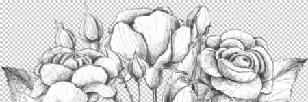 玫瑰花素叶片描绘画
