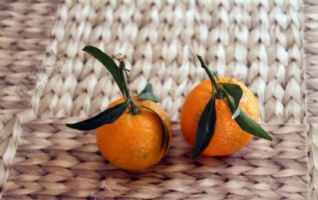 柑橘橘子热带水果维生素
