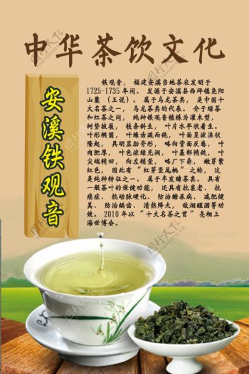 中华茶饮文化之安溪铁观音