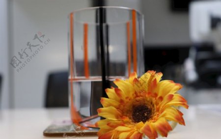 玻璃杯旁的花朵