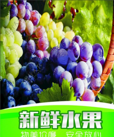 水果海报葡萄海报新鲜葡萄