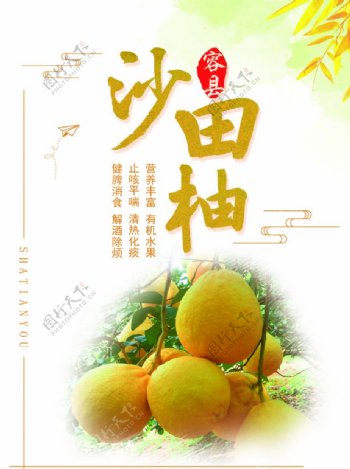 沙田柚海报