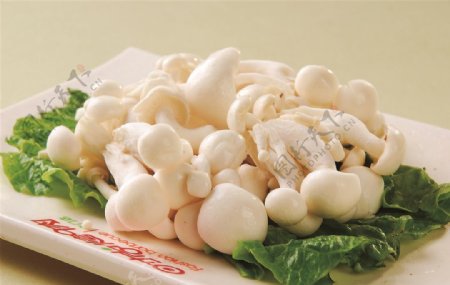 生烤白玉菇