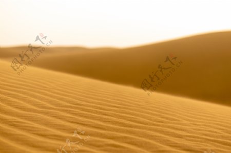 沙漠沙沙漠沙漠素材摄影素