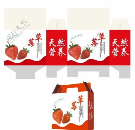 水果包装盒展开图及效果图