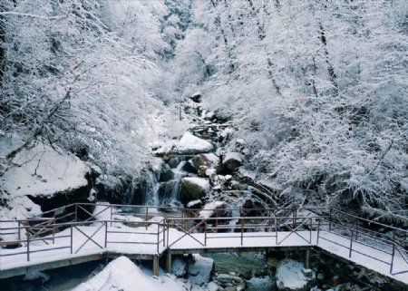 海螺沟雪景