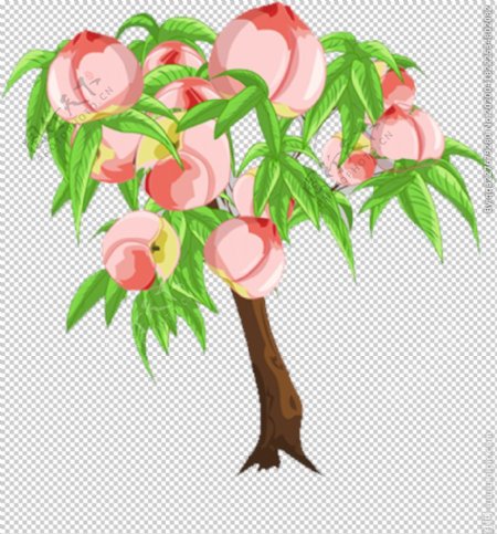 桃子树
