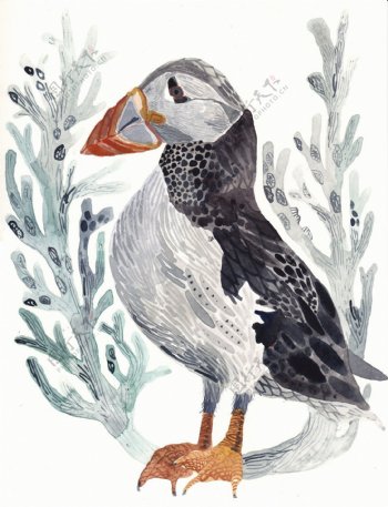 北欧风格淡色鸟禽水彩画