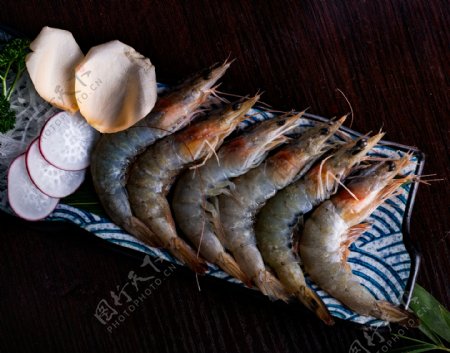 海鲜虾摄影