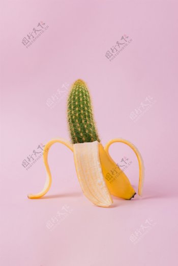 仙人掌香蕉创意