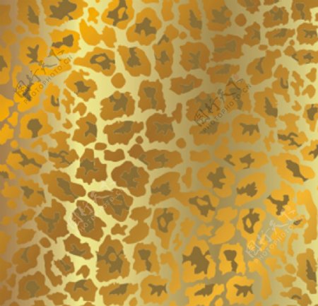 金色豹纹矢量图