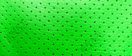 绿色圆孔形皮质纹理纹路