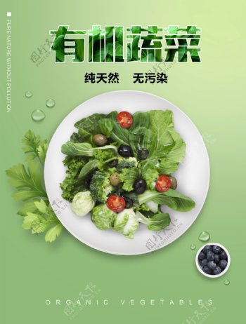 有机蔬菜分层海报