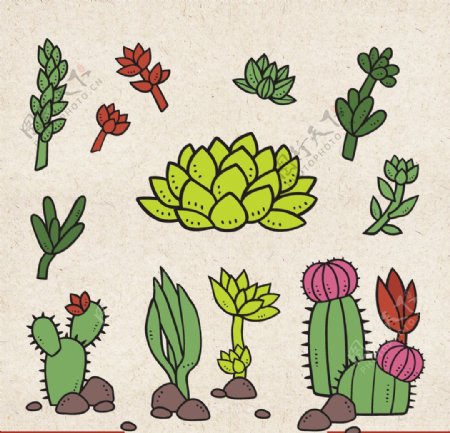 矢量动物矢量植物插画手绘