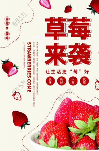 草莓水果宣传活动促销海报