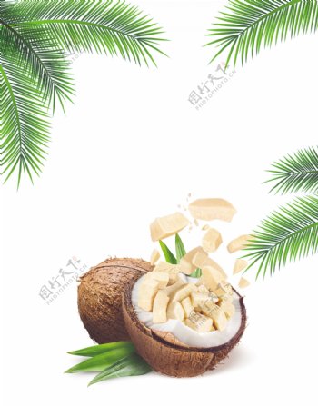 椰子块与椰子树