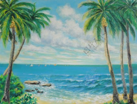 海滩椰子树椰子