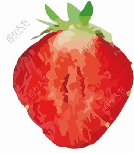 草莓水果蔬菜切片局部展示矢量图